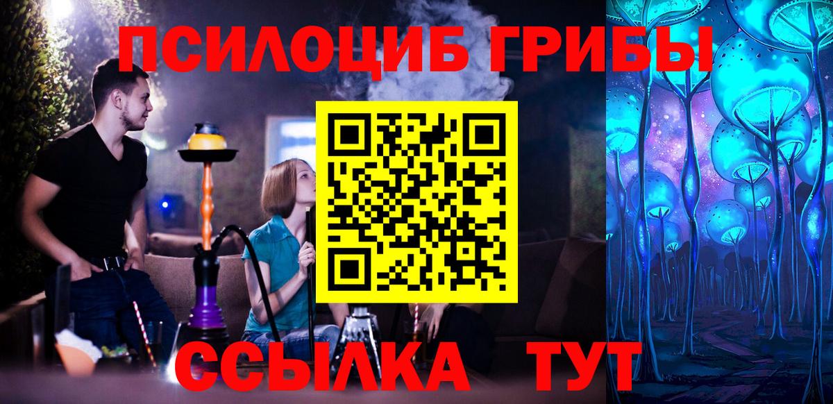 Осинники  Галлюциногенные грибы Magic Shrooms  Вход с VPN 
