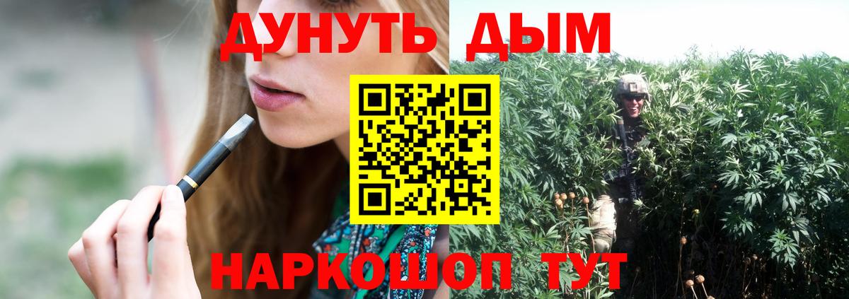 Шишки марихуана конопля  Бошки Шишки план  Вход с VPN  Осинники  Канабис конопля 